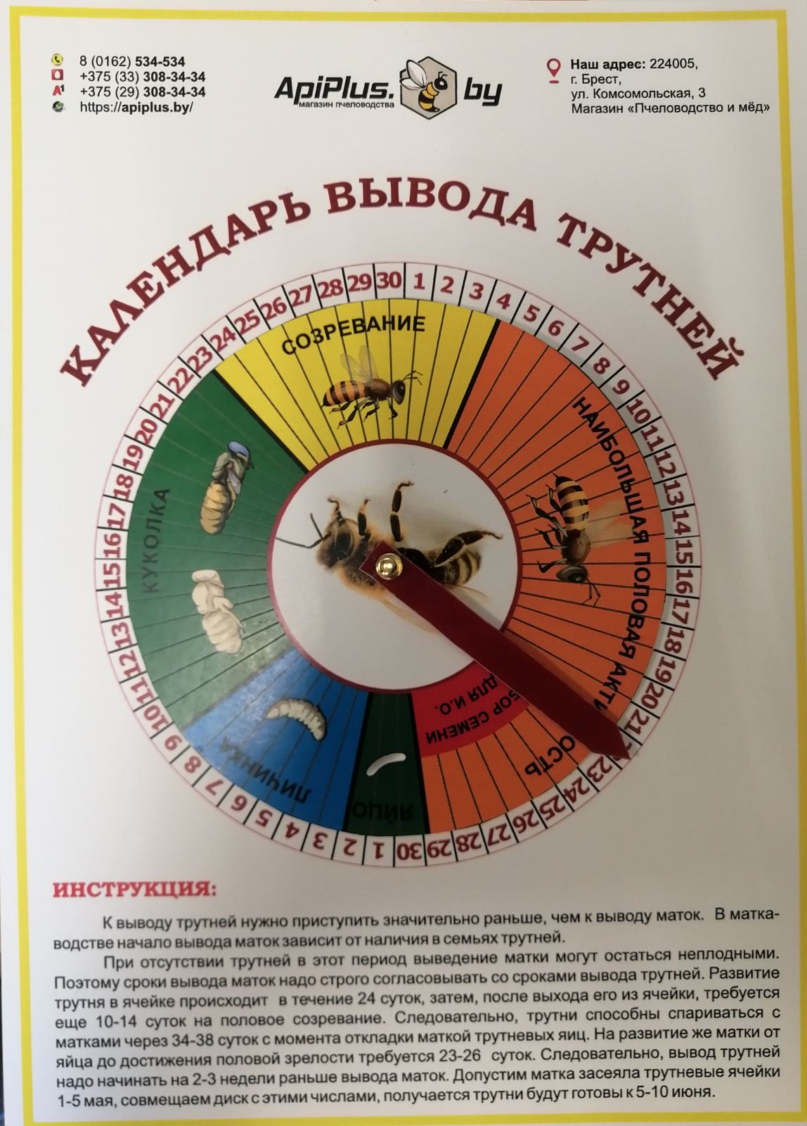 Календарь вывода трутней