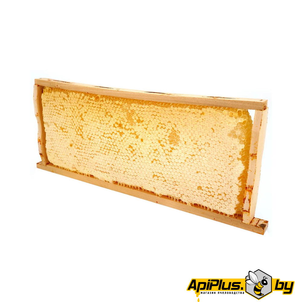 Мед в сотах от интернет-магазина apiplus.by