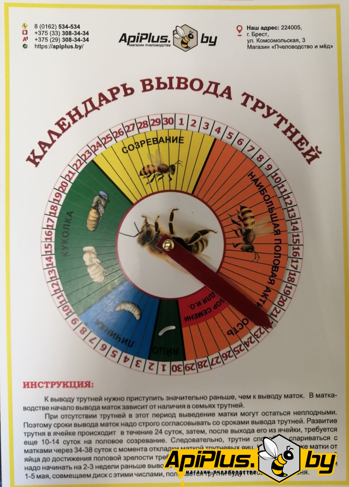 Календарь вывода трутней от интернет-магазина apiplus.by