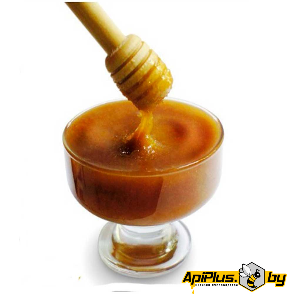 Мед липа-гречиха от интернет-магазина apiplus.by