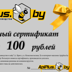 Подарочный сертификат на сумму 100 руб