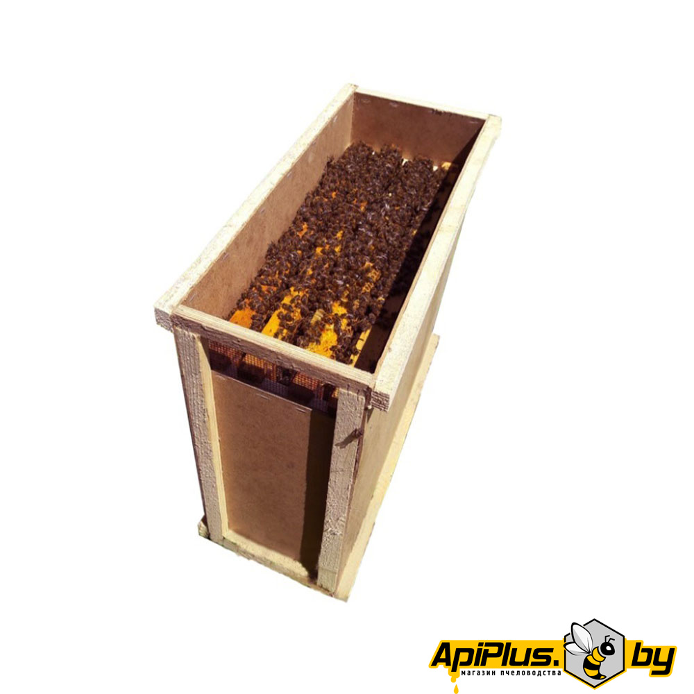 Пчелопакет "Карника" от интернет-магазина apiplus.by