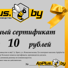 Подарочный сертификат на сумму 10 руб
